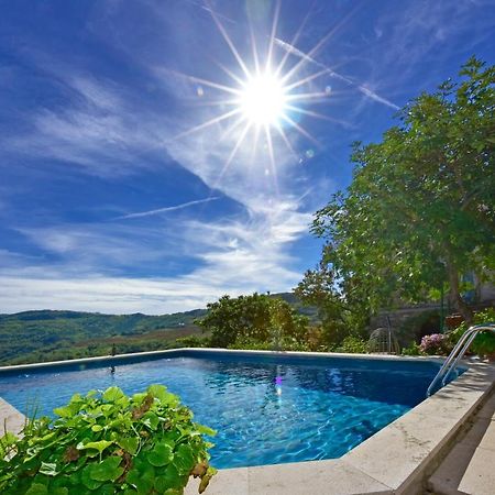 Villa Fragola Motovun Kültér fotó