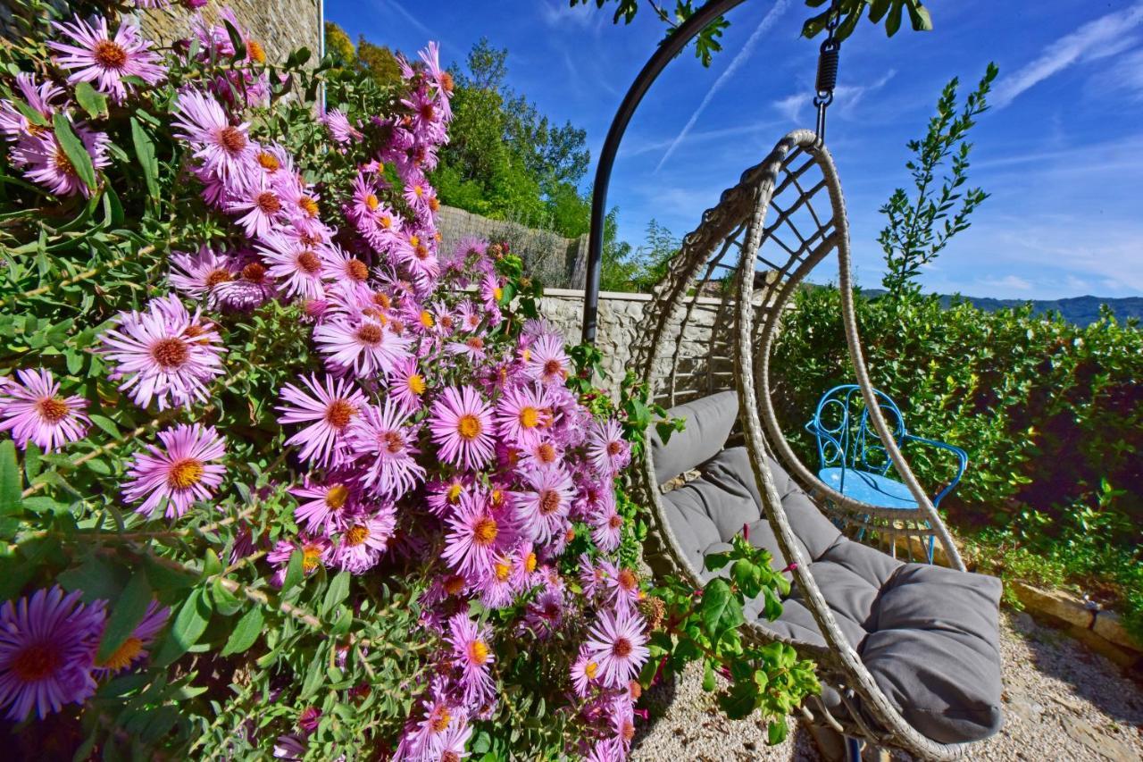 Villa Fragola Motovun Kültér fotó