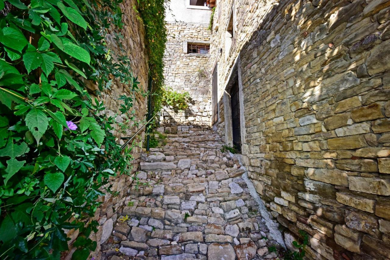 Villa Fragola Motovun Kültér fotó