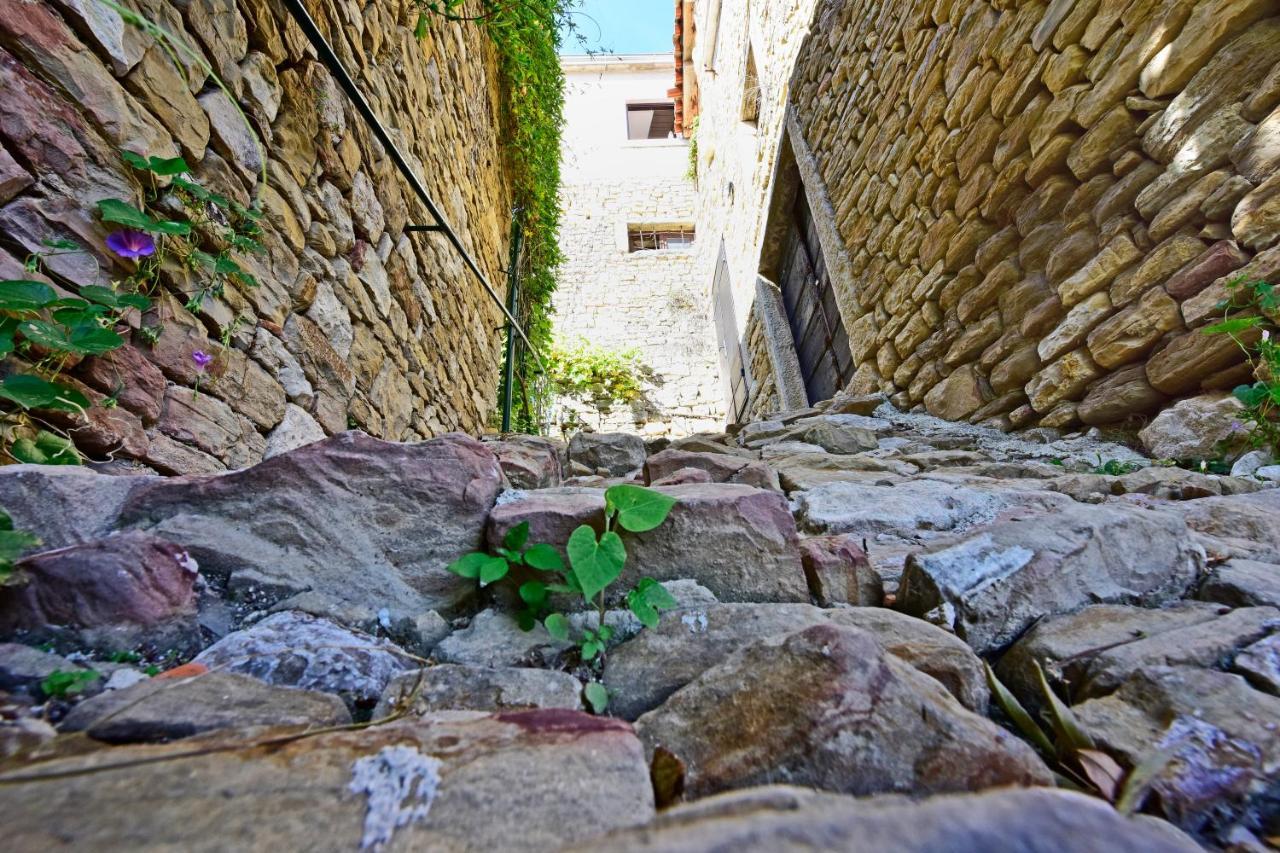 Villa Fragola Motovun Kültér fotó