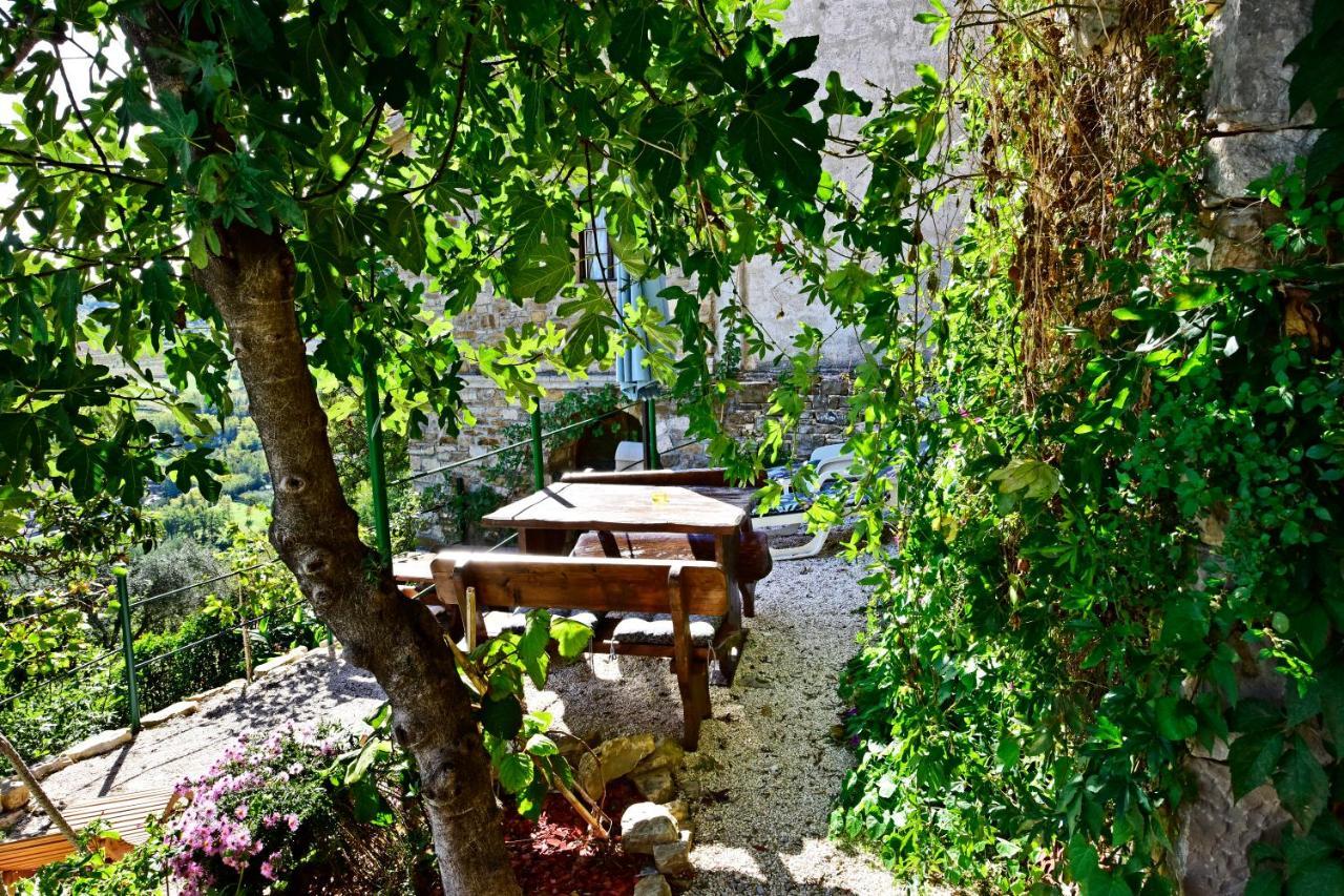 Villa Fragola Motovun Kültér fotó