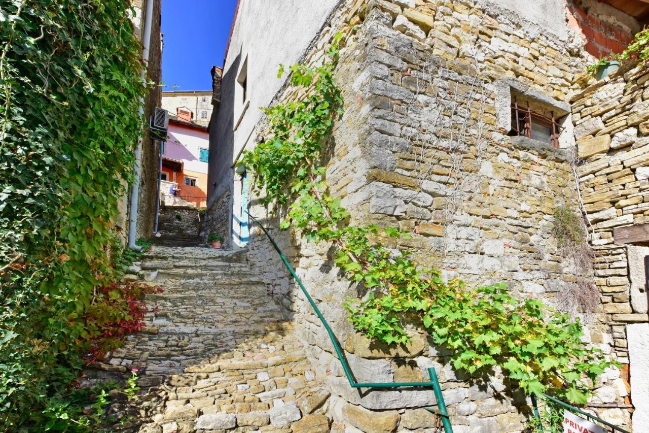 Villa Fragola Motovun Kültér fotó
