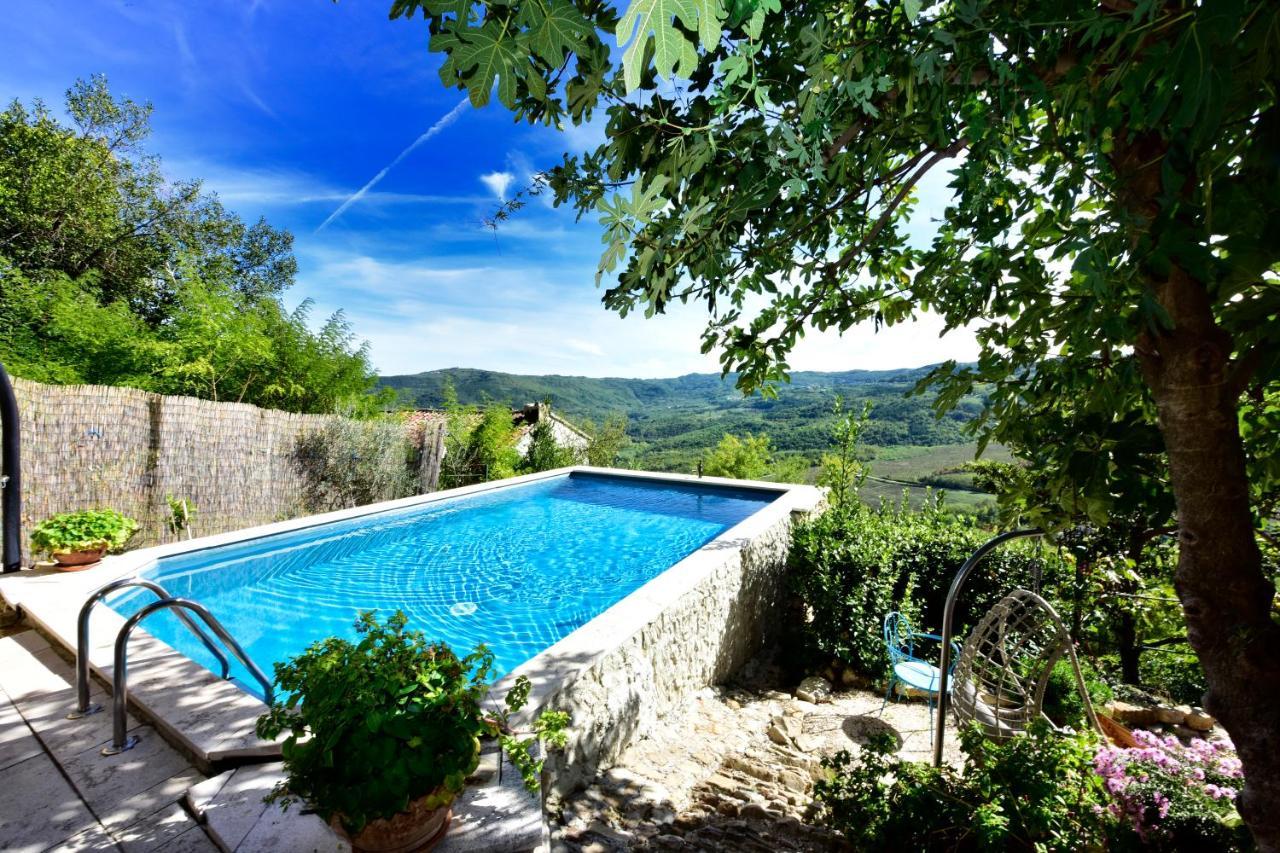 Villa Fragola Motovun Kültér fotó
